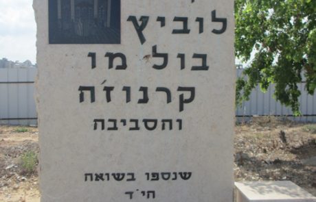 לוביץ